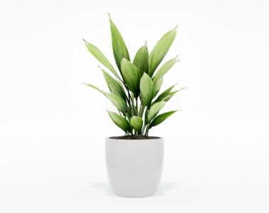 盆栽植物SketchUp草图大师模型下载107