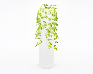 盆栽植物SketchUp草图大师模型下载108