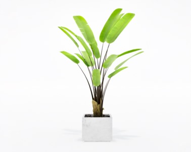 盆栽植物SketchUp草图大师模型下载109