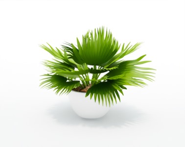 盆栽植物SketchUp草图大师模型下载113