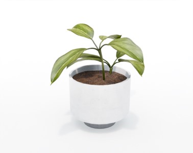 盆栽植物SketchUp草图大师模型下载116