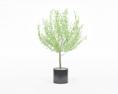 盆栽植物SketchUp草图大师模型下载119