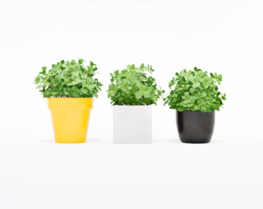 盆栽植物SketchUp草图大师模型下载266