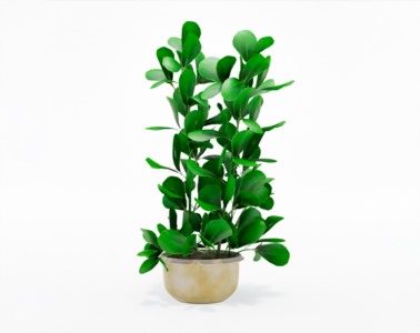 盆栽植物SketchUp草图大师模型下载274