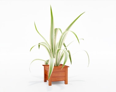 盆栽植物SketchUp草图大师模型下载276