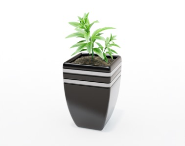 盆栽植物SketchUp草图大师模型下载422