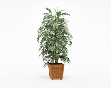 盆栽植物SketchUp草图大师模型下载425