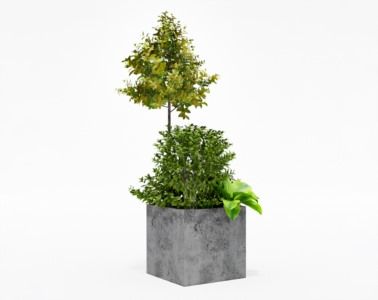 盆栽植物SketchUp草图大师模型下载430