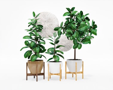 盆栽植物SketchUp草图大师模型下载432