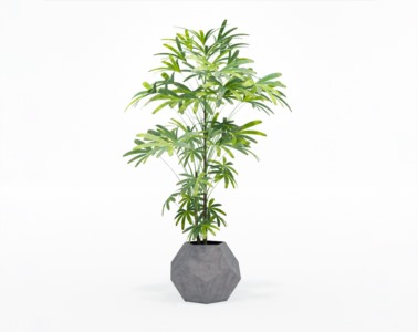 盆栽植物SketchUp草图大师模型下载573