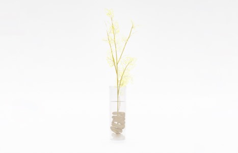 花艺饰品摆设SketchUp草图大师模型下载272