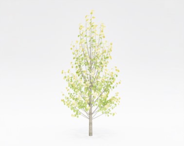 树木乔本植物SketchUp草图大师SU模型下载005