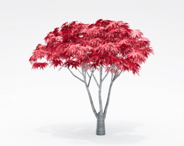 树木乔本植物SketchUp草图大师SU模型下载015