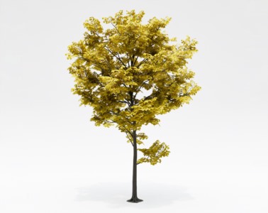 树木乔本植物SketchUp草图大师SU模型下载161