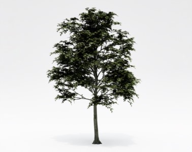 树木乔本植物SketchUp草图大师SU模型下载169