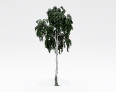 树木乔本植物SketchUp草图大师SU模型下载174