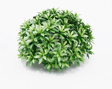 灌木植物SketchUp草图大师SU模型下载122