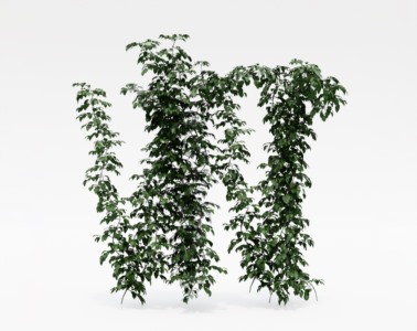灌木植物SketchUp草图大师SU模型下载131