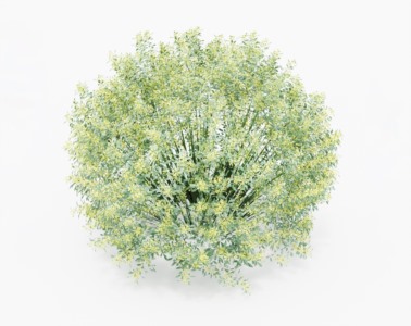 灌木植物SketchUp草图大师SU模型下载134