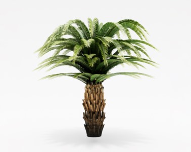 棕榈植物SketchUp草图大师SU模型下载042