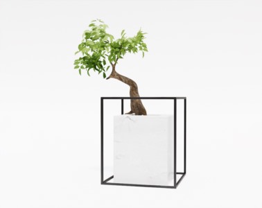 盆景植物SketchUp草图大师SU模型下载076