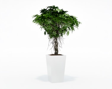 盆栽植物SketchUp草图大师模型下载156