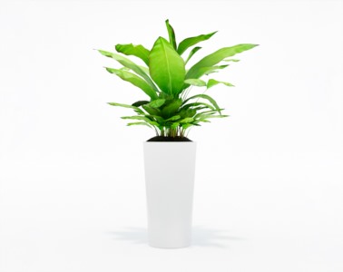盆栽植物SketchUp草图大师模型下载158
