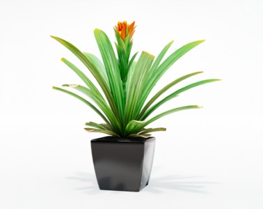 盆栽植物SketchUp草图大师模型下载311