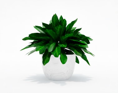 盆栽植物SketchUp草图大师模型下载469