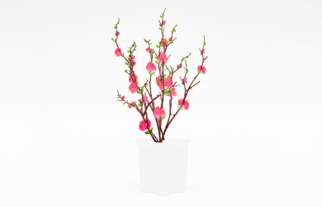 花艺饰品摆设SketchUp草图大师模型下载310