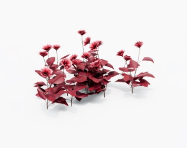 花草植物SketchUp草图大师SU模型下载035
