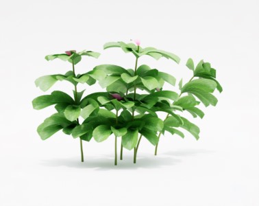 花草植物SketchUp草图大师SU模型下载042