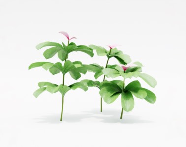 花草植物SketchUp草图大师SU模型下载046