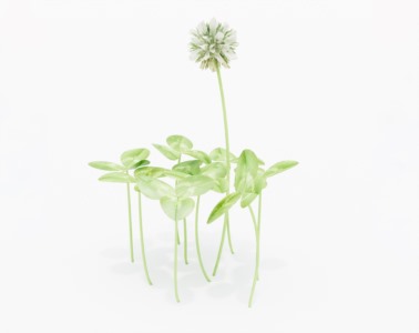 花草植物SketchUp草图大师SU模型下载059