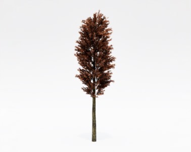 树木乔本植物SketchUp草图大师SU模型下载061