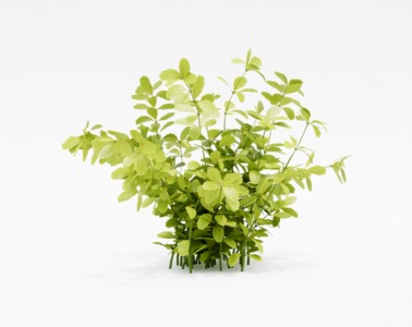灌木植物SketchUp草图大师SU模型下载015