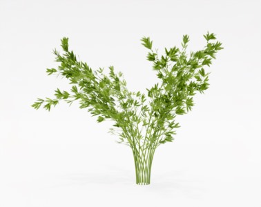 灌木植物SketchUp草图大师SU模型下载018