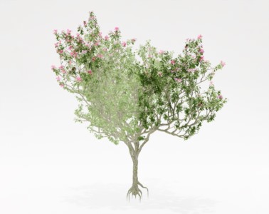 花木果树植物SketchUp草图大师SU模型下载040