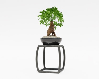 盆景植物SketchUp草图大师SU模型下载084