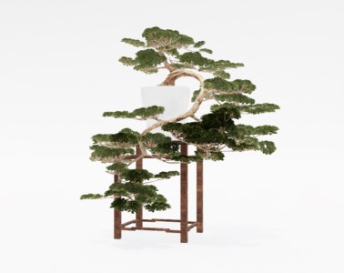 盆景植物SketchUp草图大师SU模型下载095