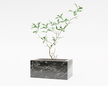 盆景植物SketchUp草图大师SU模型下载106