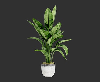 盆栽植物SketchUp草图大师SU模型下载0026