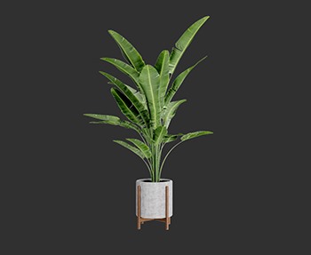 盆栽植物SketchUp草图大师SU模型下载0031