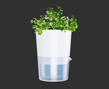 盆栽植物SketchUp草图大师SU模型下载0095