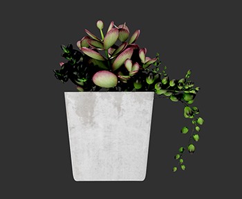 盆栽植物SketchUp草图大师SU模型下载0019