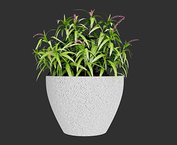 盆栽植物SketchUp草图大师SU模型下载0120