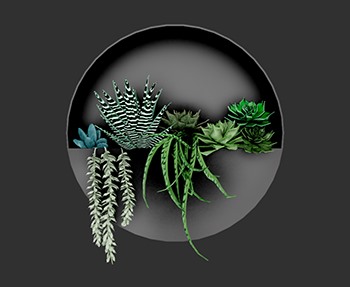 盆栽植物SketchUp草图大师SU模型下载0129