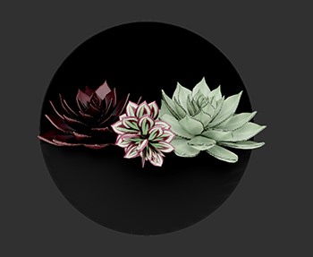 盆栽植物SketchUp草图大师SU模型下载0131