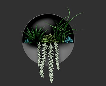 盆栽植物SketchUp草图大师SU模型下载0132