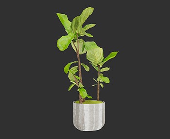 盆栽植物SketchUp草图大师SU模型下载0143